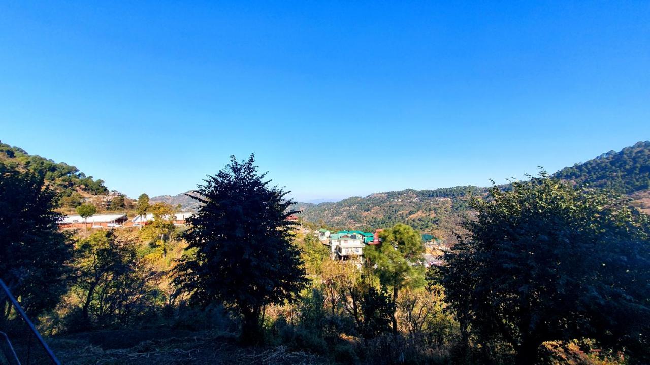 Bed and Breakfast Wildleaf Kasauli Valley Homz Экстерьер фото